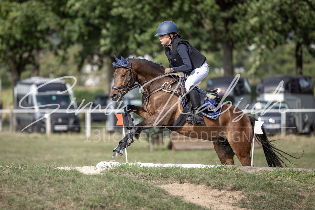20250907-_3LI9533 | Tierfotografie Pferde, Hunde, Katzen, Haustiere.
Turnierfotografie Reitturniere, Reiten, Springreiten, Dressur in Hanau, dem Main-Kinzig-Kreis und dem Rhein-Main- Gebiet um Frankfurt