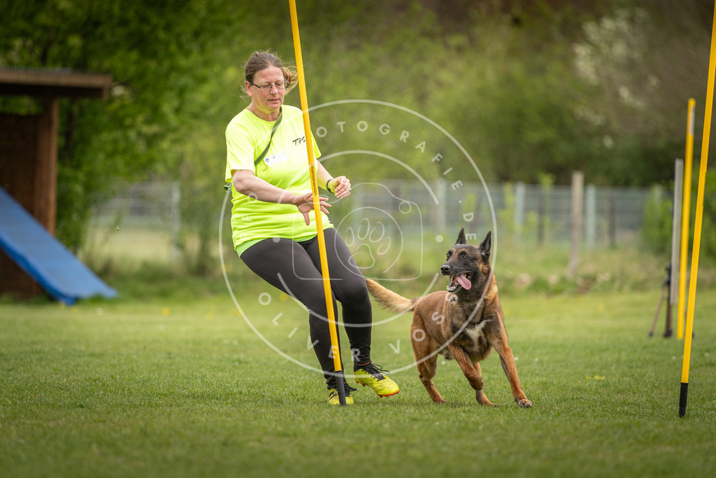 Pfotenfotografie_DV3A9519 | Hundefotografie, Tierfotograf, Pfotenfotografie, Fotoshooting Hund, Hunde Portrait, Hundesport, Hundeportraits, Heideshooting, Hunde, Sportfotograf, Hundefotograf, Turnierhundsport, THS,  - Realisiert mit Pictrs.com