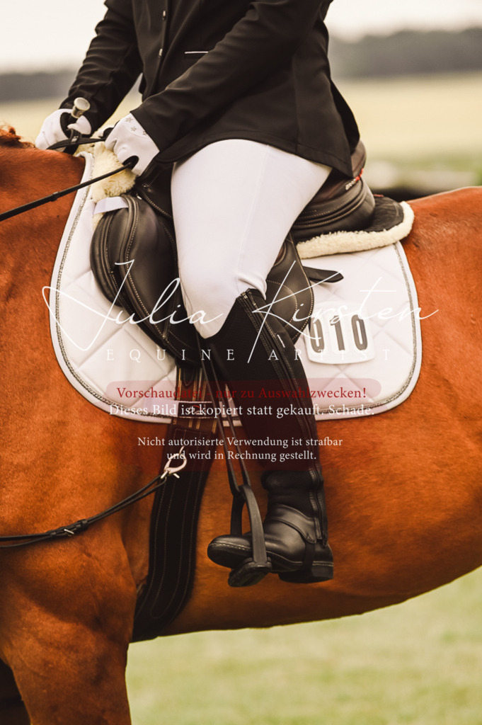 DSC_5037 | Pferde- und Turnierfotografie in Westsachsen. Pferdeportraits, Auftragszeichnungen und intuitive Kunst.