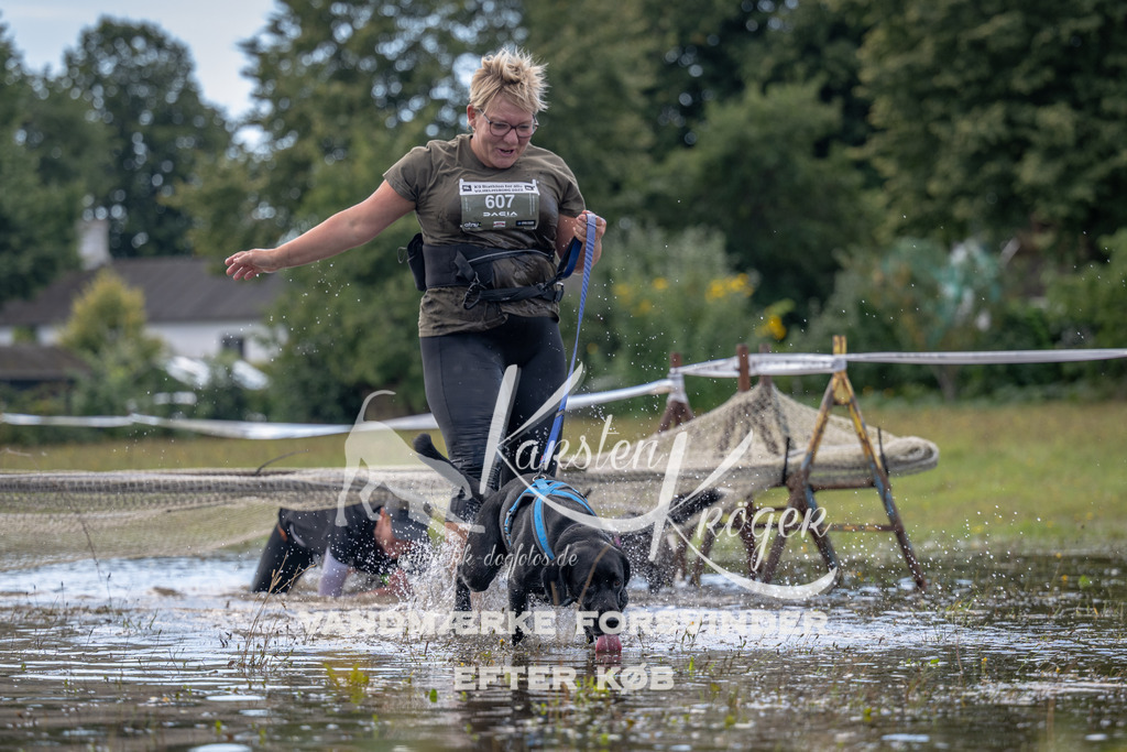 1305_ZZ90115 | kk-dogfotos