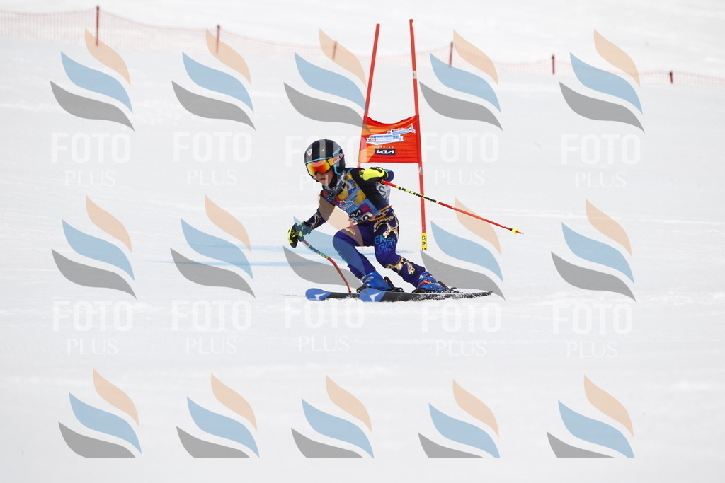 _U3G7084 | holidayphoto