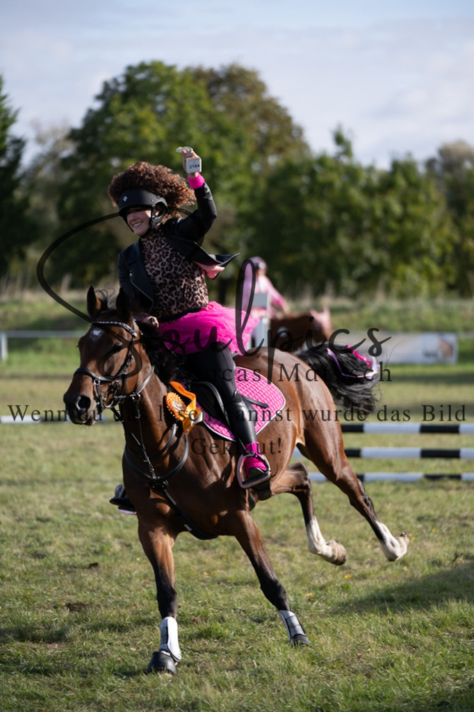 A7V06606 | Pferdefotograf