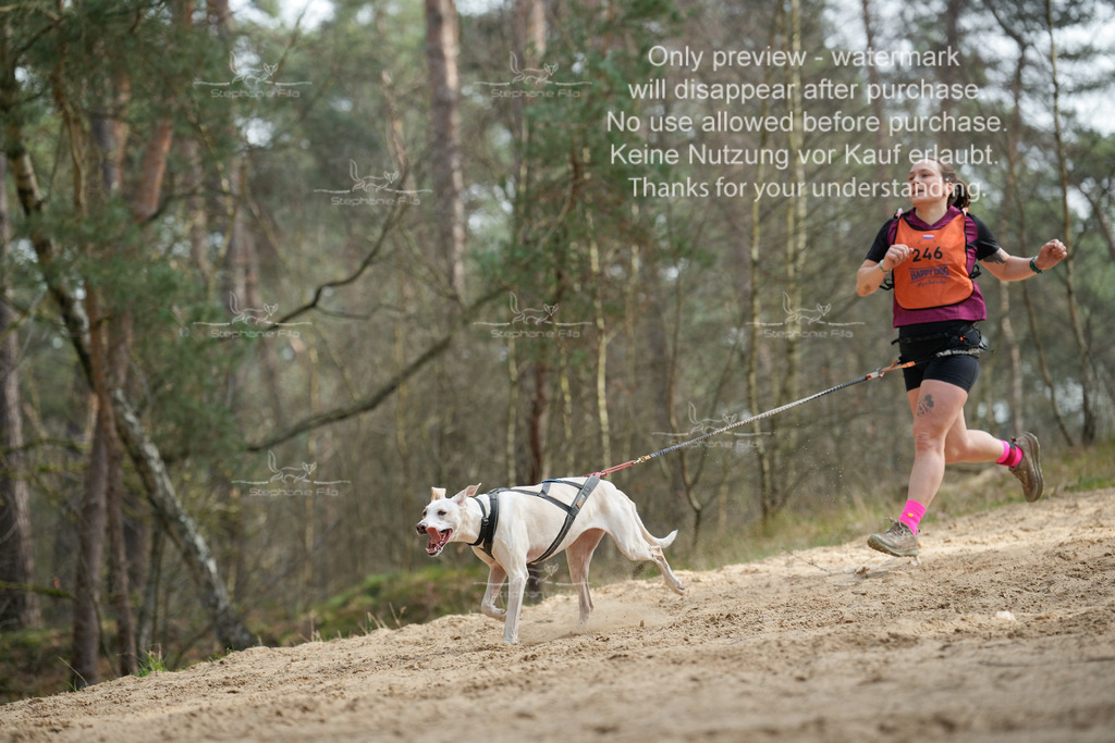 LangeCross-173 | stephaniefillaphotographie - Realisiert mit Pictrs.com
