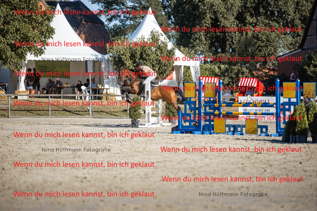 BK1A7781 | Turnierbilder Turnierfotos Nina Hüffmann Turnierfotografie Pferdefotografie Tierzeichnung Haustierzeichnung Pferdezeichnung Hundezeichnung Videograf  - Realisiert mit Pictrs.com