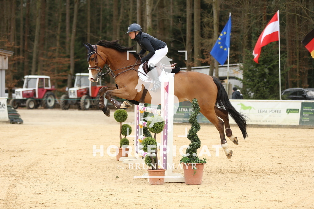 DL2Q5775 | Willkommen bei Brunnmayr - Design & Fotografie – Ihrem Spezialisten für Reitturniere und Pferdeveranstaltungen in Oberösterreich, Salzburg und Bayern! Seit über 17 Jahren sind wir leidenschaftlich dabei.