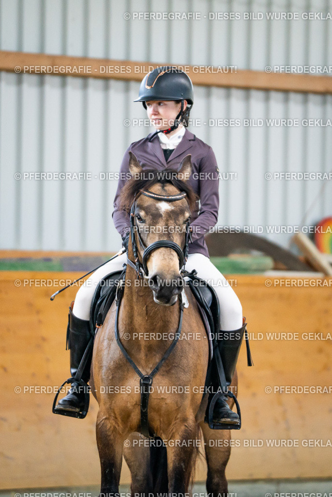 DSC01200 | Pferdegrafie