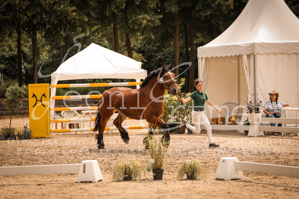 SaSieger00026 | Leoni Ertmer Photography - Realisiert mit Pictrs.com