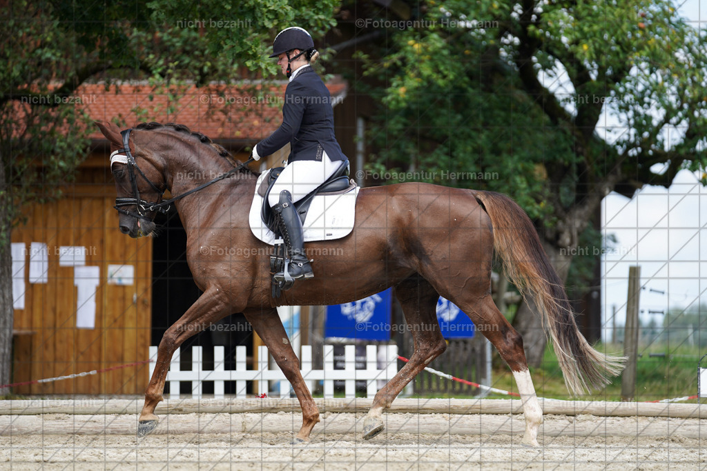 20230826-FAH05550 | Forstinning, 2023, Dressurturnier, Turniersportbilder, Turnierfotografen Bayern, Fotoagentur Herrmann, Reitsportfotografie, Turnierbilder