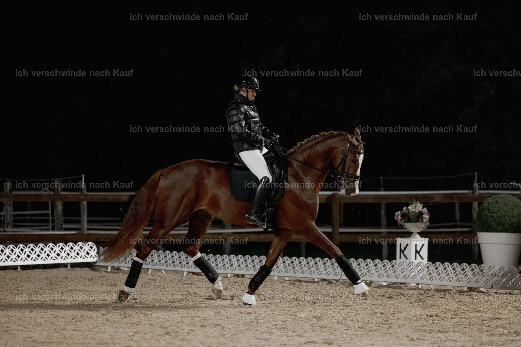 FHClassics-29 | working equitationturnier fotograf videograf stoibphotography marixx film working equitation deutschland reitsport turnierfotografie eventfotografie equestrian events