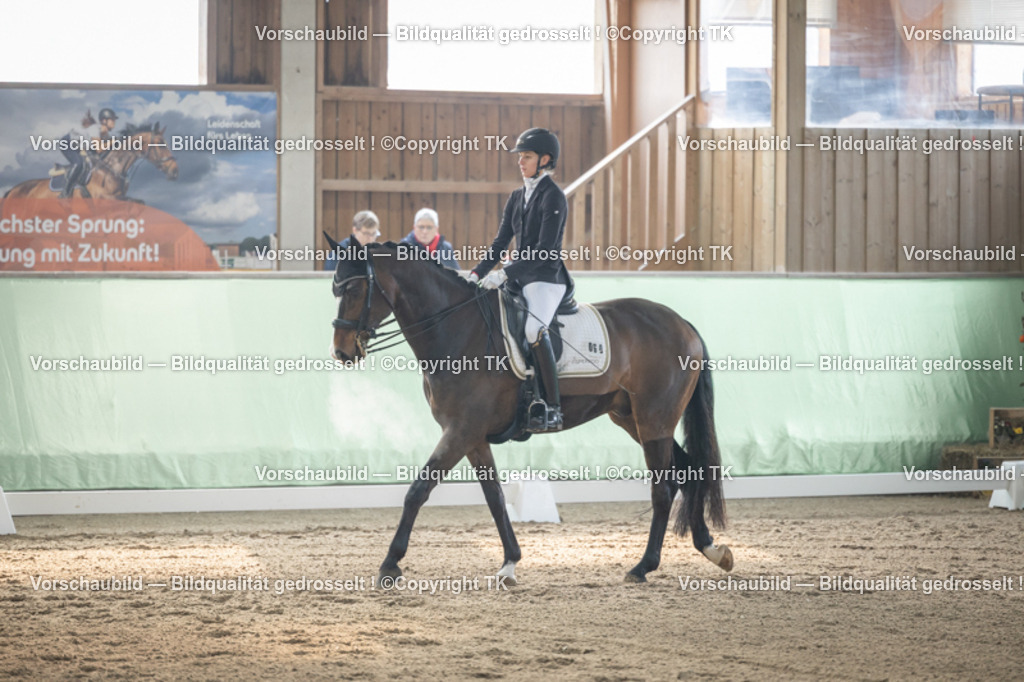 _D5A4267 | Emotionale Pferde- & People-Fotografie rund um Heidelberg, Leimen & Umgebung. Natürliche Fotos von Pferd, Mensch & Familie. Jetzt Termin sichern!