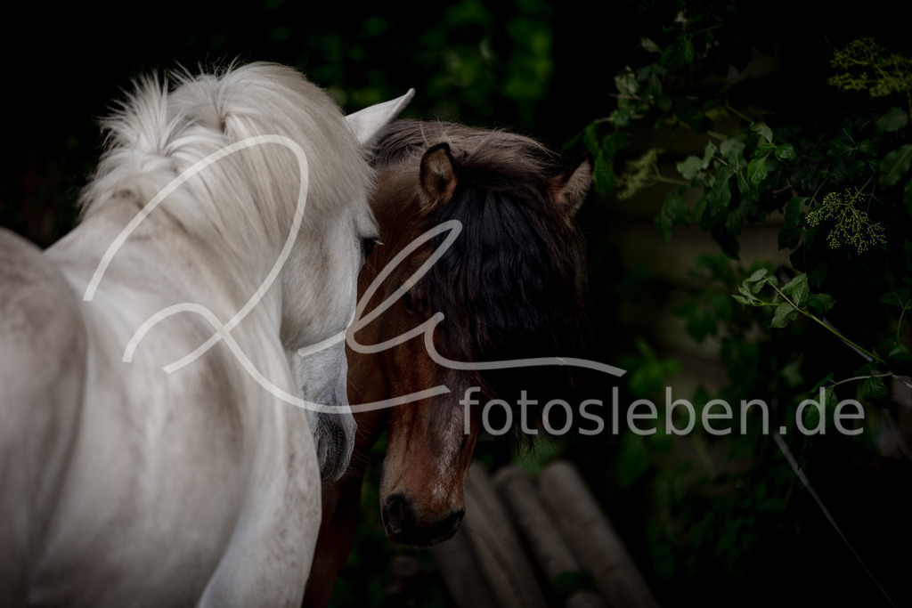 846A0470 | fotosleben - Realisiert mit Pictrs.com