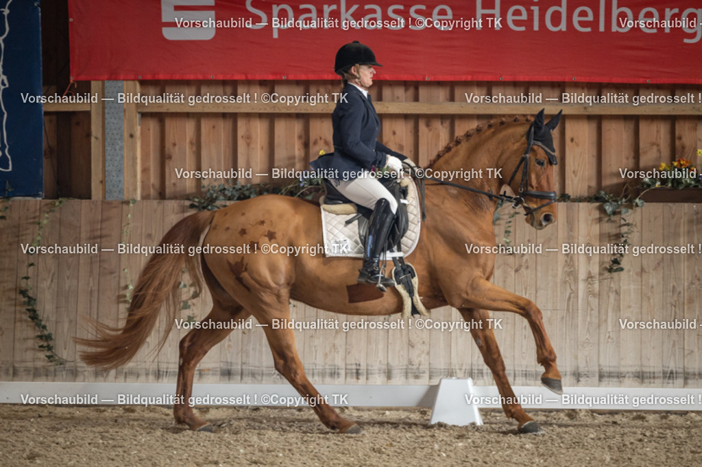 _D5A4380 | Emotionale Pferde- & People-Fotografie rund um Heidelberg, Leimen & Umgebung. Natürliche Fotos von Pferd, Mensch & Familie. Jetzt Termin sichern!