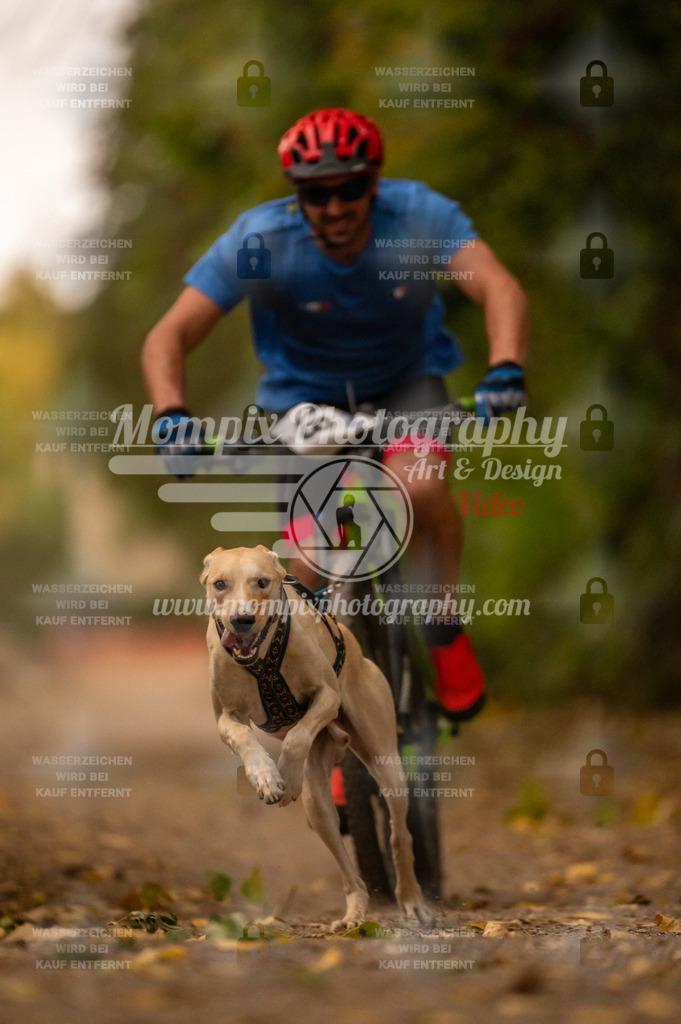 CDLBDB_14_10_2023_Samedi-74 | PayLife