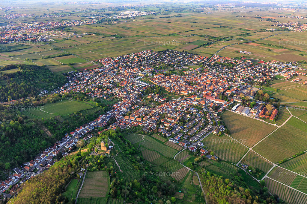 Luftbild: Stadtansicht aus Südosten mit Wachtenburg (Ruine Burg Wachenheim) umgeben von Rebzeilen in Wachenheim an der Weinstraße im Bundesland Rheinland-Pfalz in Deutschland. Foto: IMG_106742.jpg vom 21.04.2018 durch Werner Riehm/FLY-FOTO.de