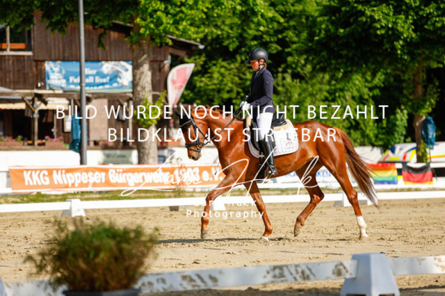 _62_2314 | larahueckfotografie