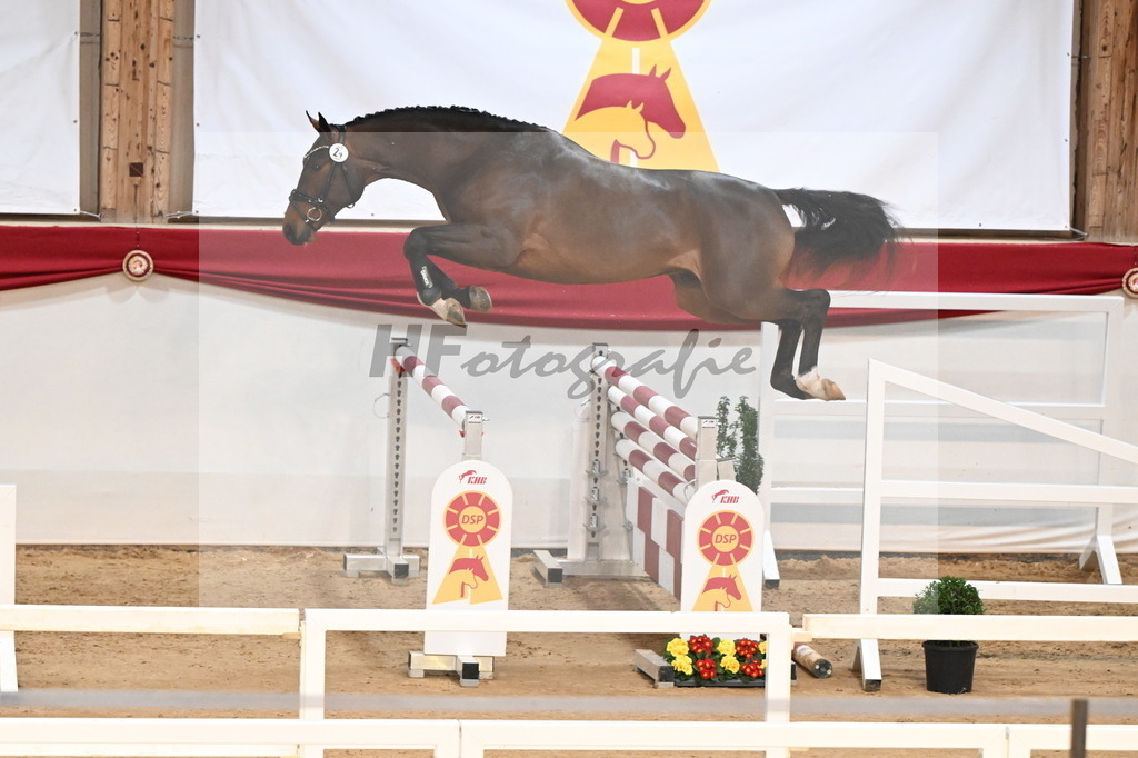 Kat.-Nr. 24 v. Jasper_Zeil_3261767 | hf-fotografie - Realisiert mit Pictrs.com