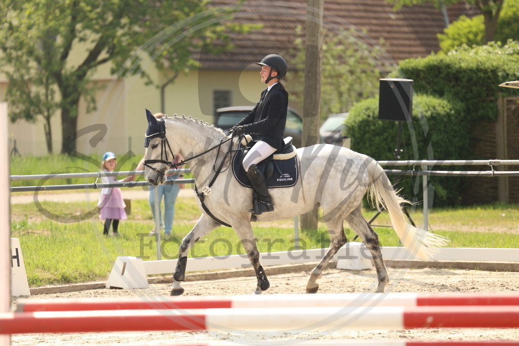 994A7692 | sabrinanicolaifotografie - Realisiert mit Pictrs.com