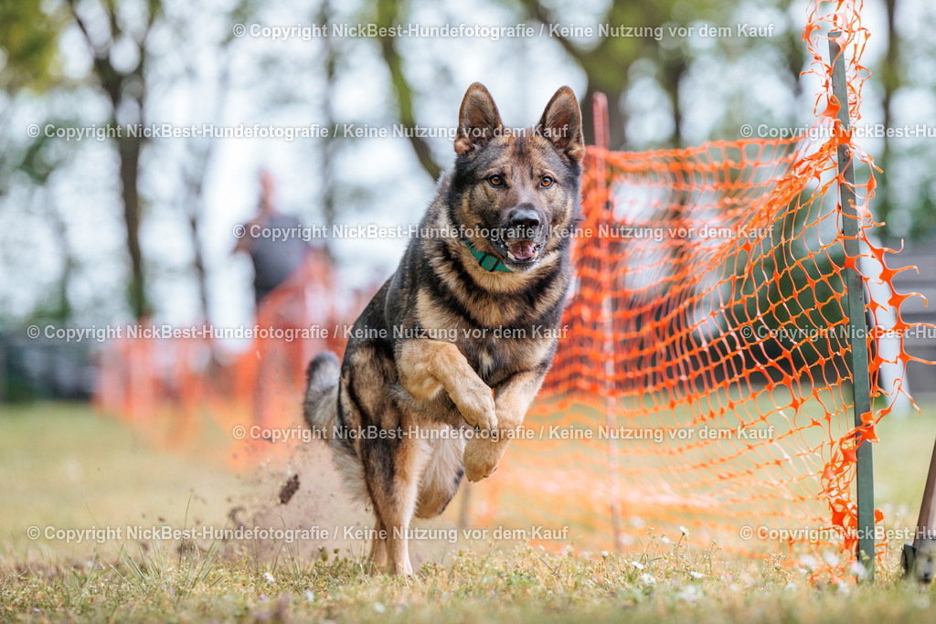 Sage Hunderennen Frühlingsfest-2026-Nickbest-Hundefotografie-0201 | Dein Hund! Dein Moment! Deine Erinnerungen! Hundefotografie in Bremen Blumenthal. Ich fange die besonderen Momente deines Vierbeiners ein – ob Indoor mit Blitzanlage oder in der freien Natur. Sicher dir dein Moment und dein Termin für eure Erinnerungen.