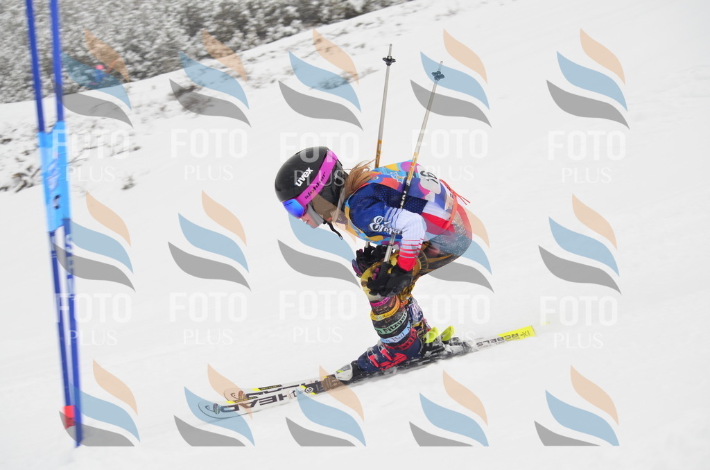 C0647 | holidayphoto