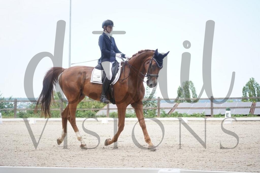 tbhsamstag (528) | d.tail Visions - Shop - Realisiert mit Pictrs.com