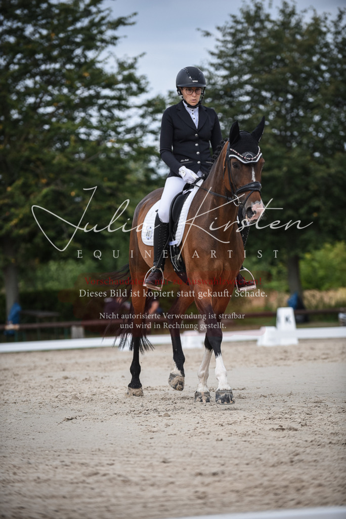 DSC_8530 | Pferde- und Turnierfotografie in Westsachsen. Pferdeportraits, Auftragszeichnungen und intuitive Kunst.