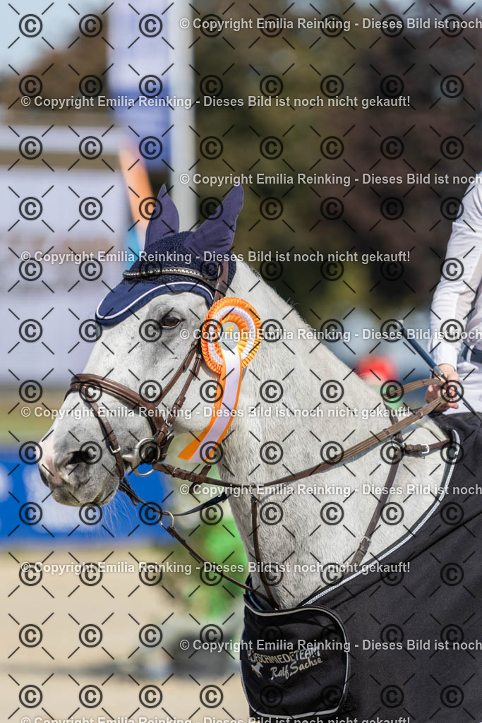 CL5A0017 | Emilia Reinking Fotografie - Realisiert mit Pictrs.com