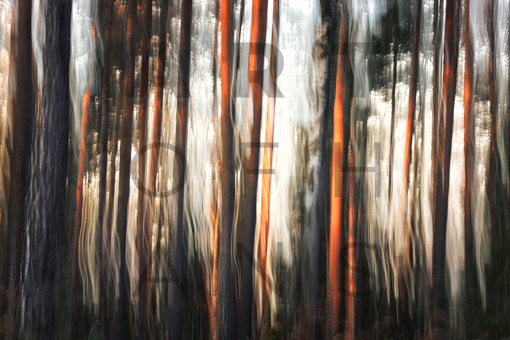 Ein Hans Fineart Original | Entdecke die Kunst von Hans Fineart - Fotografien für dein Zuhause. Verwandle deine Wände mit einzigartigen Kunstwerken und bringe die Schönheit der Welt in dein Leben. Bestelle jetzt und schaffe einen Ort der Inspiration und Eleganz.