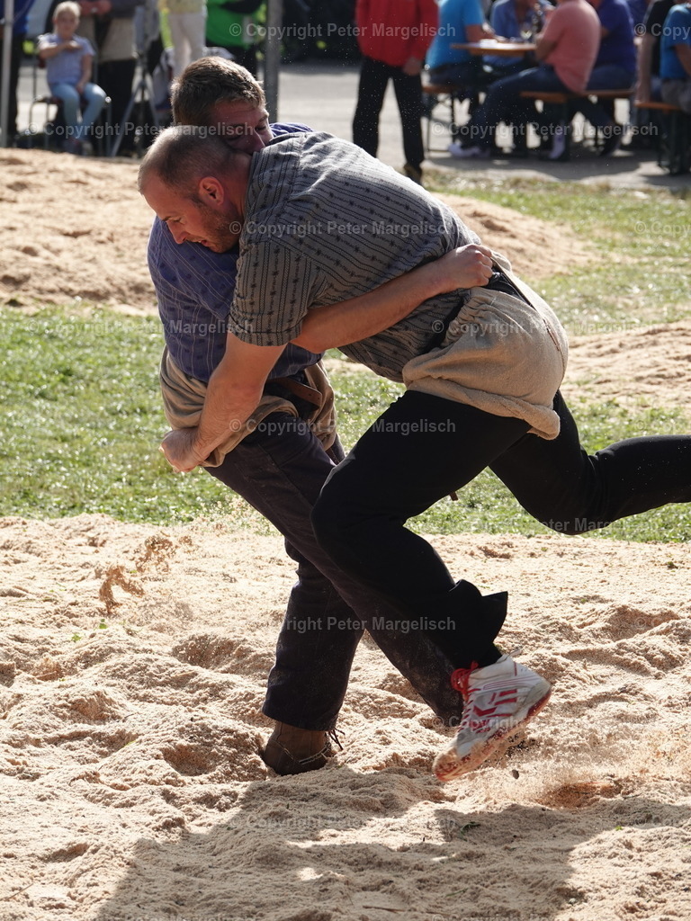 DSC05789 | Schwingen - Realisiert mit Pictrs.com