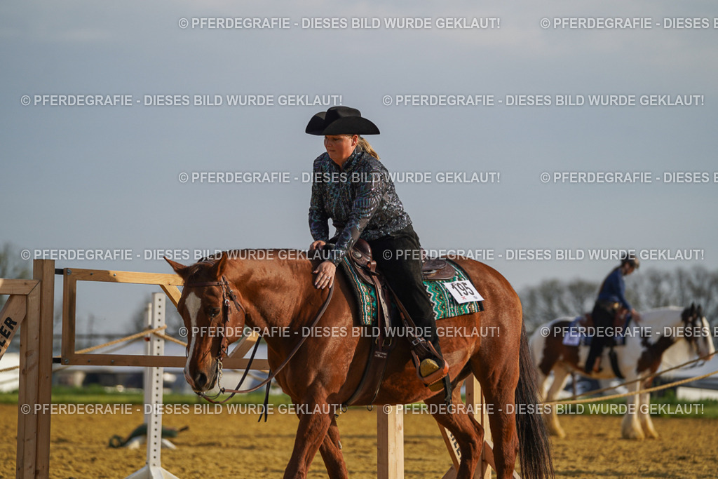 DSC00616 | Pferdegrafie