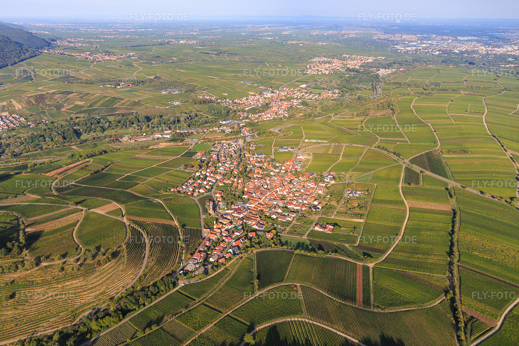 Luftbild: Winzerdorfübersicht zwischen Weinbergen aus Südwesten in Birkweiler im Bundesland Rheinland-Pfalz in Deutschland. Foto: IMG_111755.jpg vom 16.09.2018 durch Werner Riehm/FLY-FOTO.de