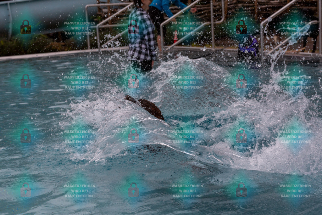 _HP_6276_1000o | HetPix, HetPix Fotodesign, Fotografie, Fotodesign, Webshop, Sportfotografie, Portraitfotografie, Onlineshop, Sportfotografie, Polch, Motorsportfotografie, Eventfotografie