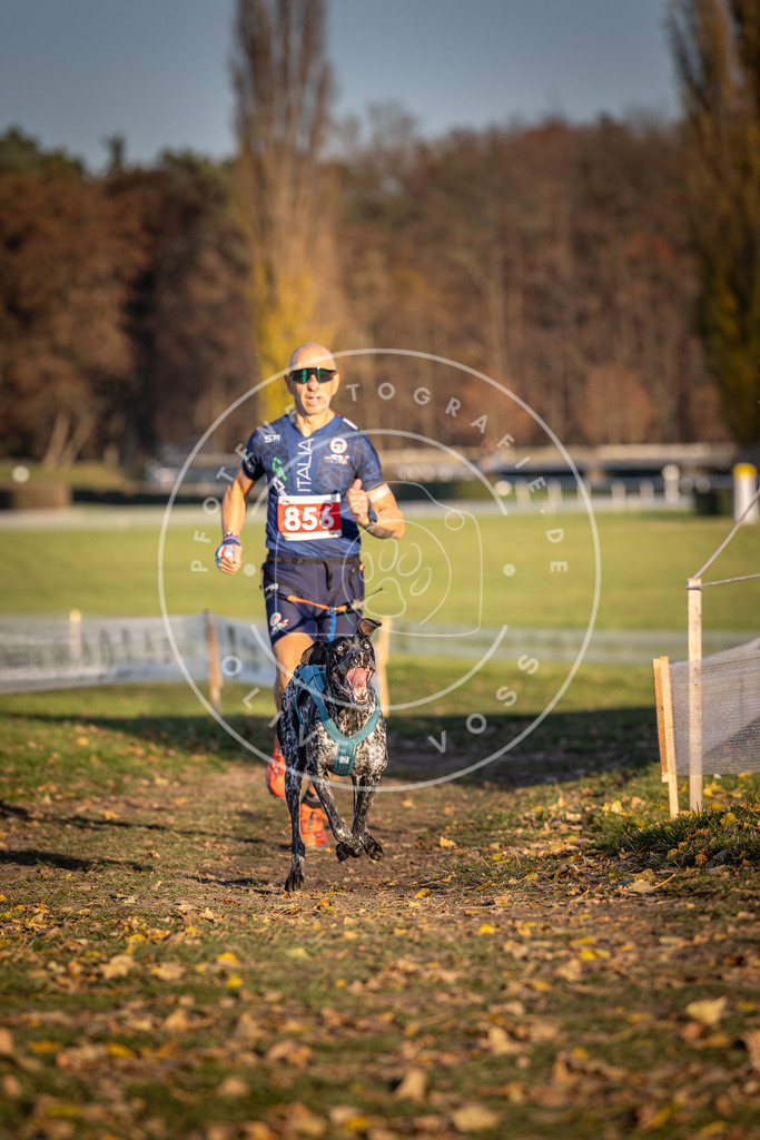 CaniXpix_DV3A3958 | Hundefotografie, Tierfotograf, Pfotenfotografie, Fotoshooting Hund, Hunde Portrait, Hundesport, Hundeportraits, Heideshooting, Hunde, Sportfotograf, Hundefotograf, Turnierhundsport, THS,  - Realisiert mit Pictrs.com