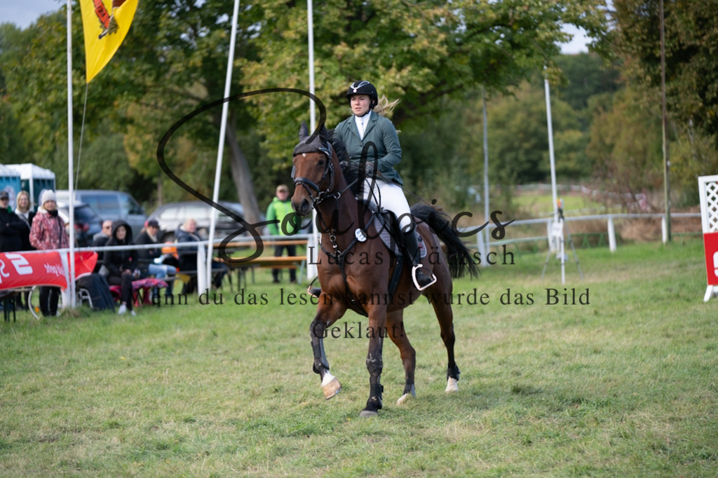 A7V06491 | Pferdefotograf