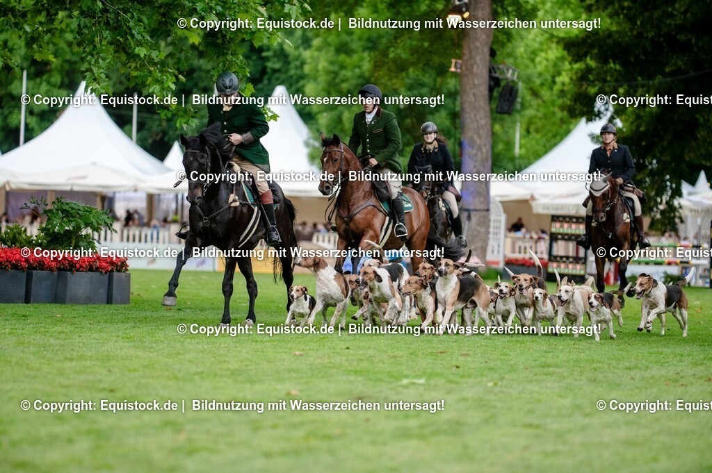 20250606_Lange-Pferdenacht_0498 | Foto: Thomas Hartig