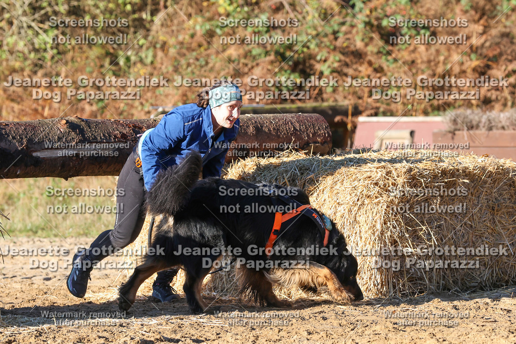 Dog Paparazzi - Strongdog 10-25-1376 | Dog Paparazzi Jeanette Grottendiek Fotografie & Videografie - Realisiert mit Pictrs.com