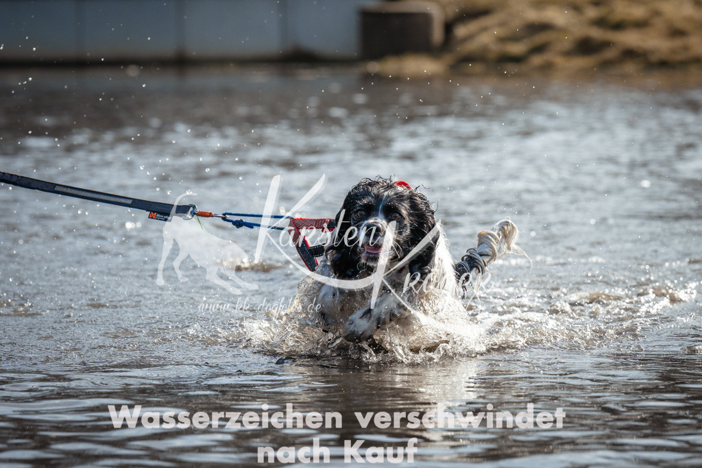 1103_ZZ92098 | kk-dogfotos