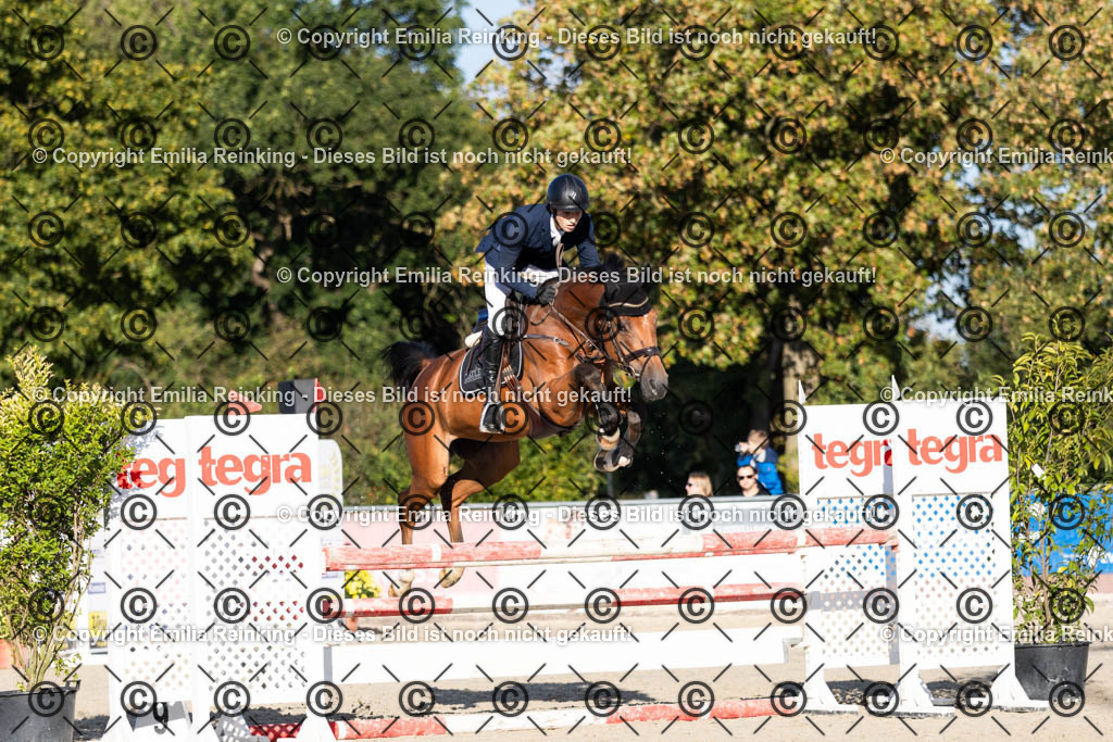 CL5A4393 | Emilia Reinking Fotografie - Realisiert mit Pictrs.com