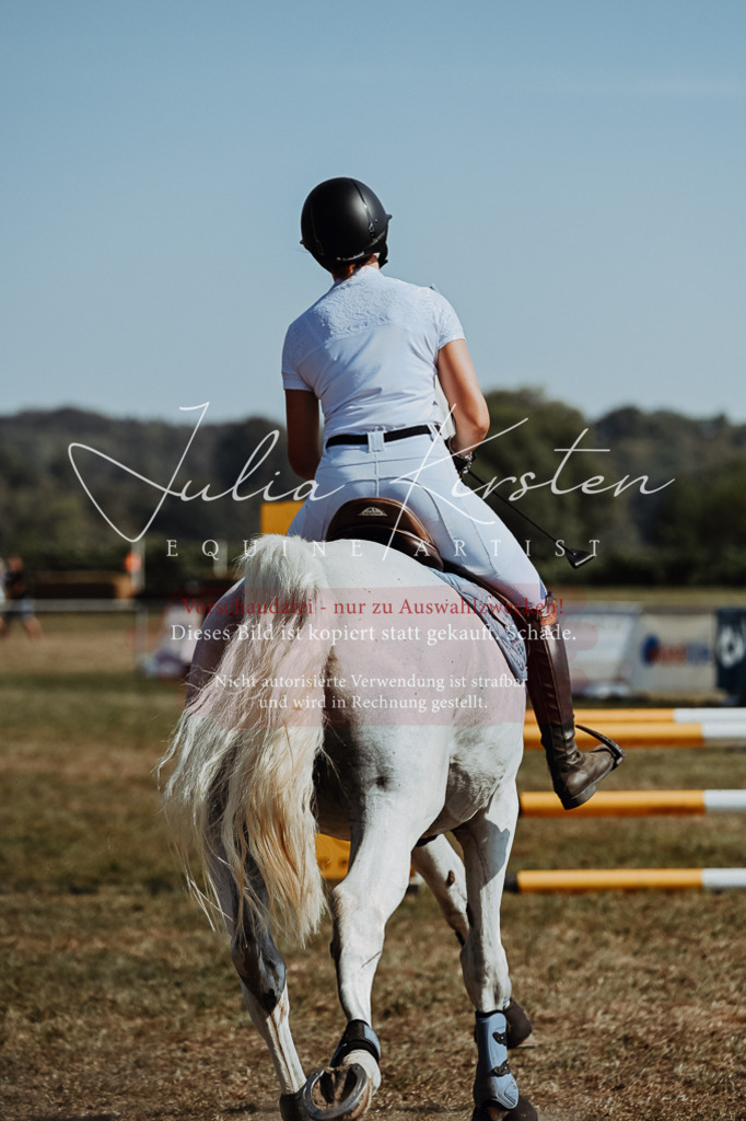 DSC_9582 | Pferde- und Turnierfotografie in Westsachsen. Pferdeportraits, Auftragszeichnungen und intuitive Kunst.
