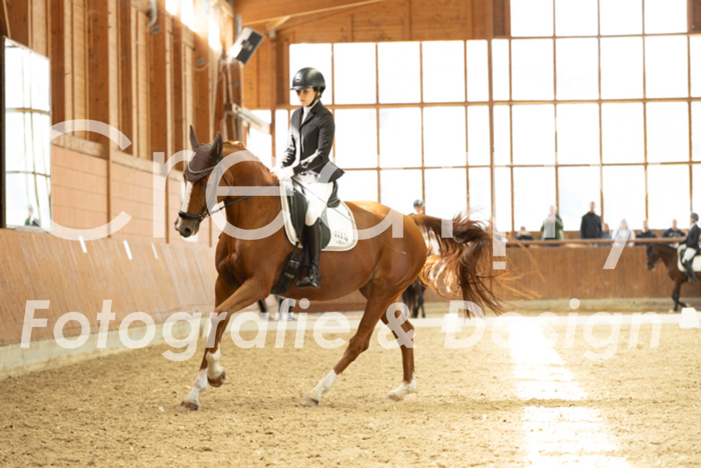 IMG_5916 | Creatify Fotografie