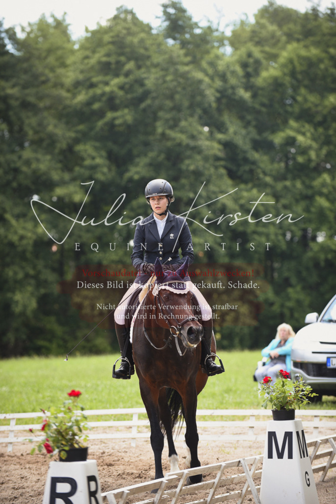 DSC_1526 | Pferde- und Turnierfotografie in Westsachsen. Pferdeportraits, Auftragszeichnungen und intuitive Kunst.