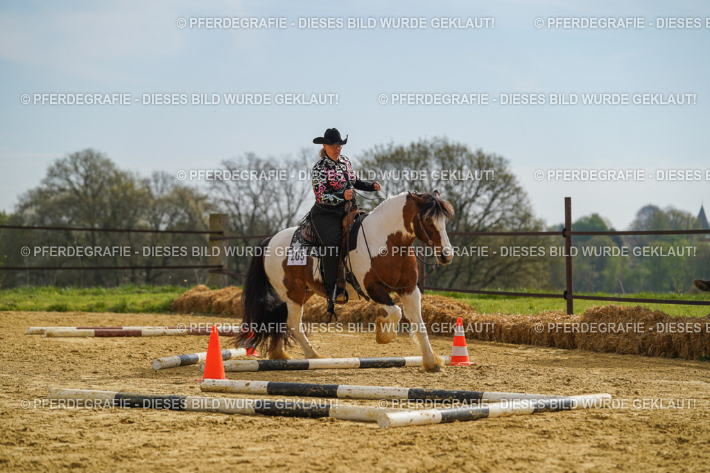 DSC02122 | Pferdegrafie