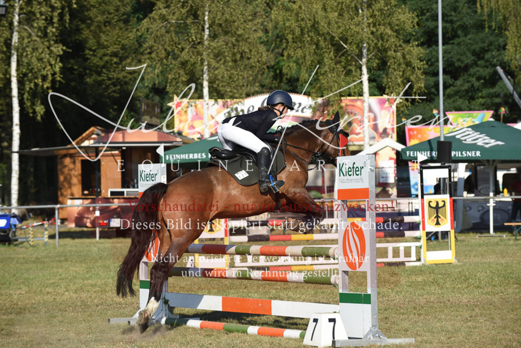 DSC_5106 | Pferde- und Turnierfotografie in Westsachsen. Pferdeportraits, Auftragszeichnungen und intuitive Kunst.