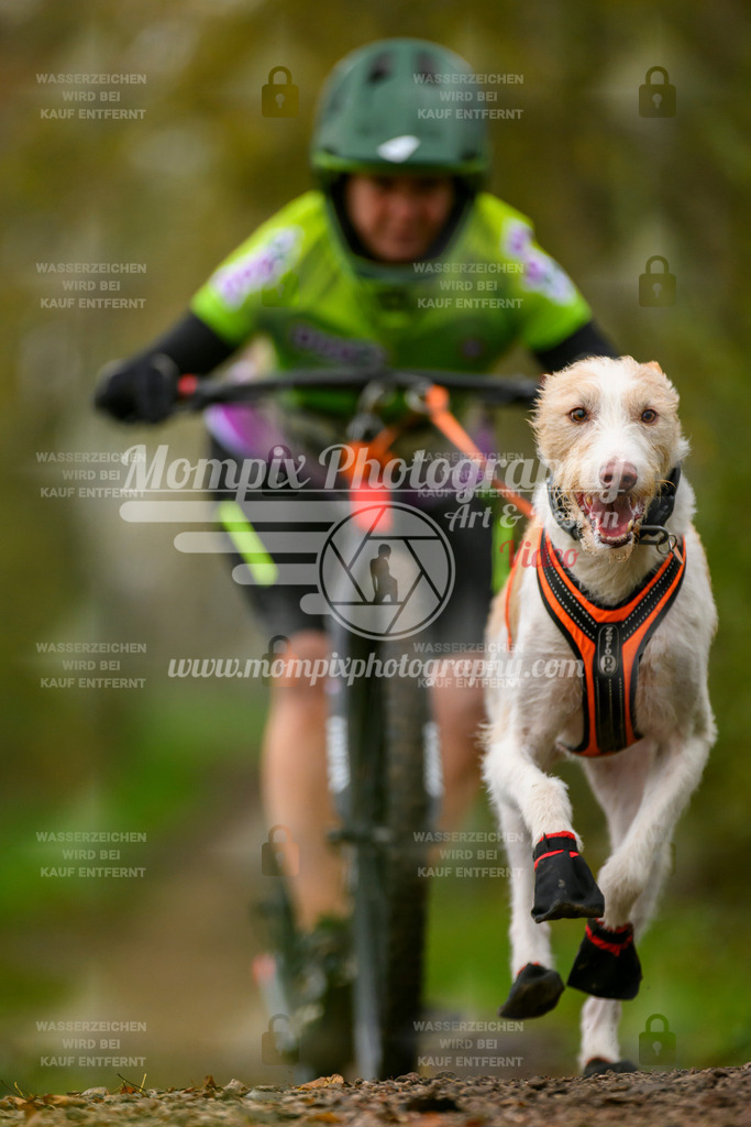 MompixPhotography_20TSB_E6_DS1-82 | PayLife