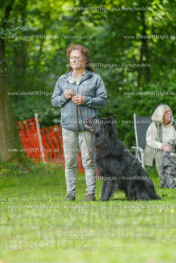 @allesWIRTHgut_Tierfotografie - www.allesWIRTHgut.de - 7R505632 | Professionelle Tierfotografie in Mönchengladbach von Daniel Wirth (allesWIRTHgut). Liebevolle & natürliche Bilder von Hunden & Katzen für unvergessliche Erinnerungen.
