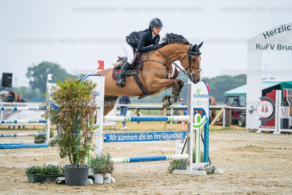 DSC01976 | Pferdegrafie