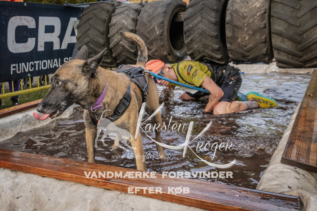 1447_ZZ90288 | kk-dogfotos