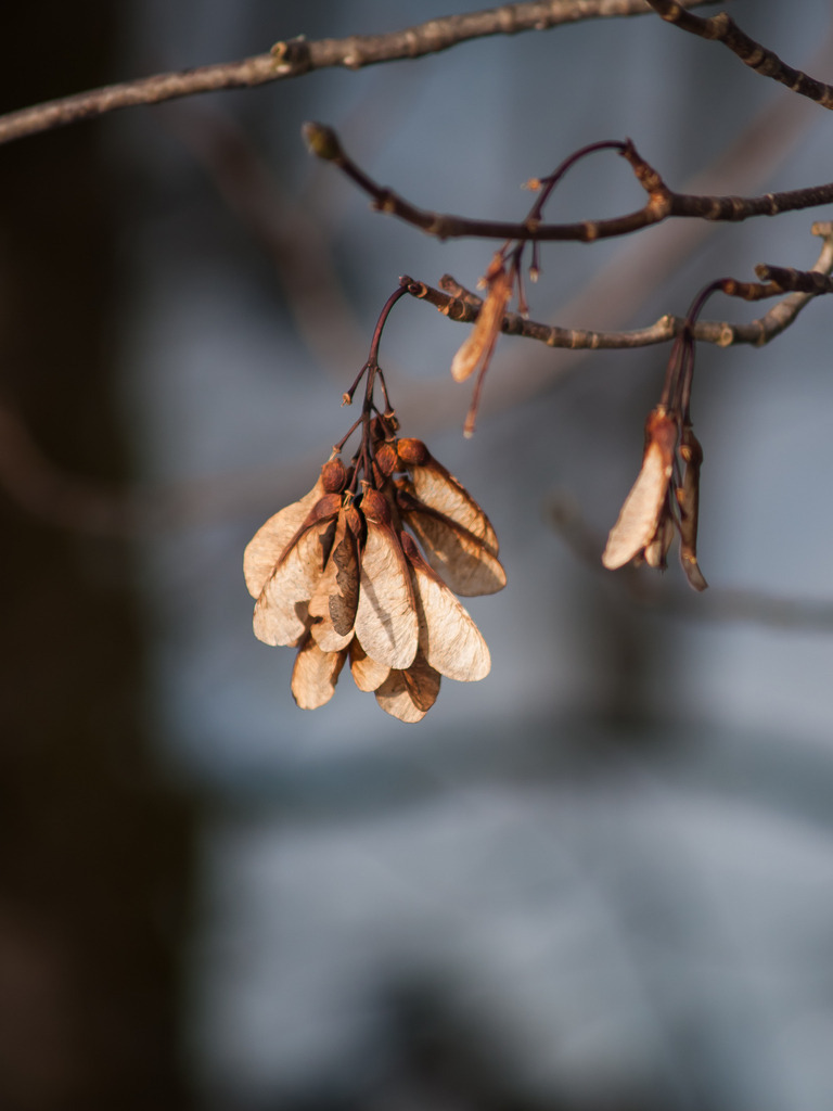 PSX_20230124_232316 | OLYMPUS DIGITAL CAMERA - Realisiert mit Pictrs.com