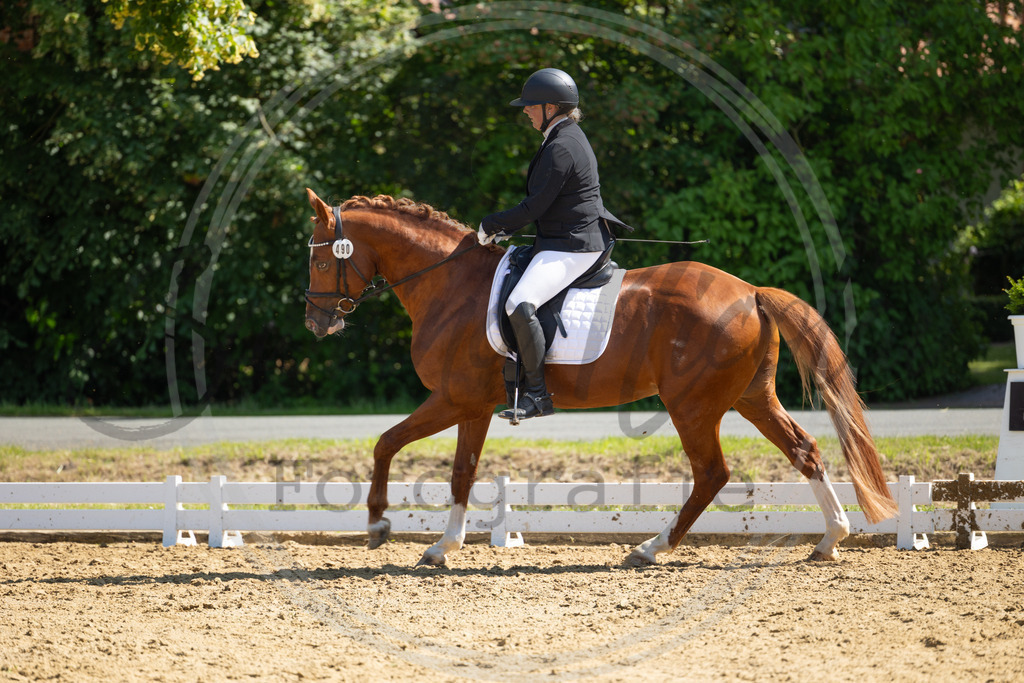 994A3021 | sabrinanicolaifotografie - Realisiert mit Pictrs.com