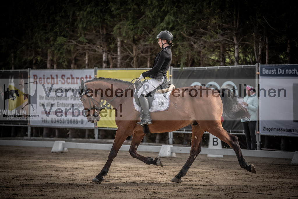 DSC_8535 | equestrian-live-com