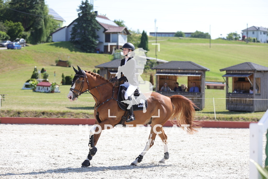 0P6A7892 | Willkommen bei Brunnmayr - Design & Fotografie – Ihrem Spezialisten für Reitturniere und Pferdeveranstaltungen in Oberösterreich, Salzburg und Bayern! Seit über 17 Jahren sind wir leidenschaftlich dabei.